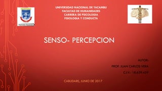 SENSO- PERCEPCION
CABUDARE, JUNIO DE 2017
UNIVERSIDAD NACIONAL DE YACAMBU
FACULTAD DE HUMANIDADES
CARRERA DE PSICOLOGIA
FISIOLOGIA Y CONDUCTA
AUTOR:
PROF. JUAN CARLOS VERA
C.I.V.- 18.639.459
 