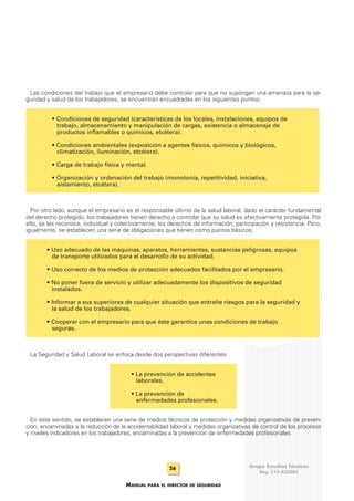 Manual del director de seguridad | PDF