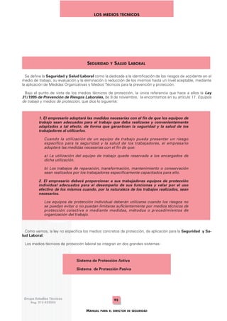 Manual del director de seguridad | PDF