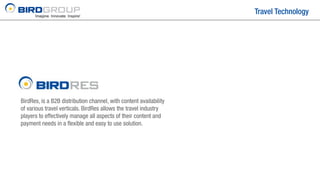 Bird Group | PDF