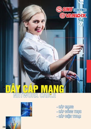 Catalog BG - Day dien thoai, cap mang, angten - 08012023.pdf