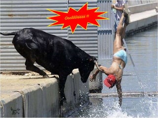 Oooôôôléééé !!!