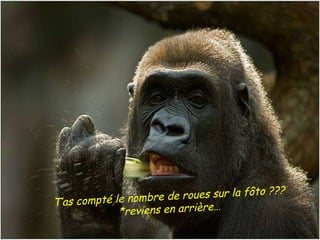 T’as compté le nombre de roues sur la fôto ??? *reviens en arrière…