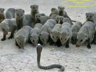 À 3 on y va ! 1…2…