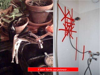 Y sont forts ces polonais …