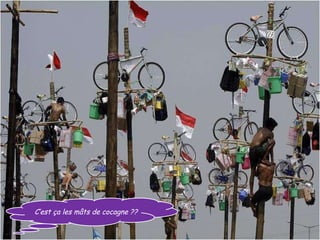 C’est ça les mâts de cocagne ??