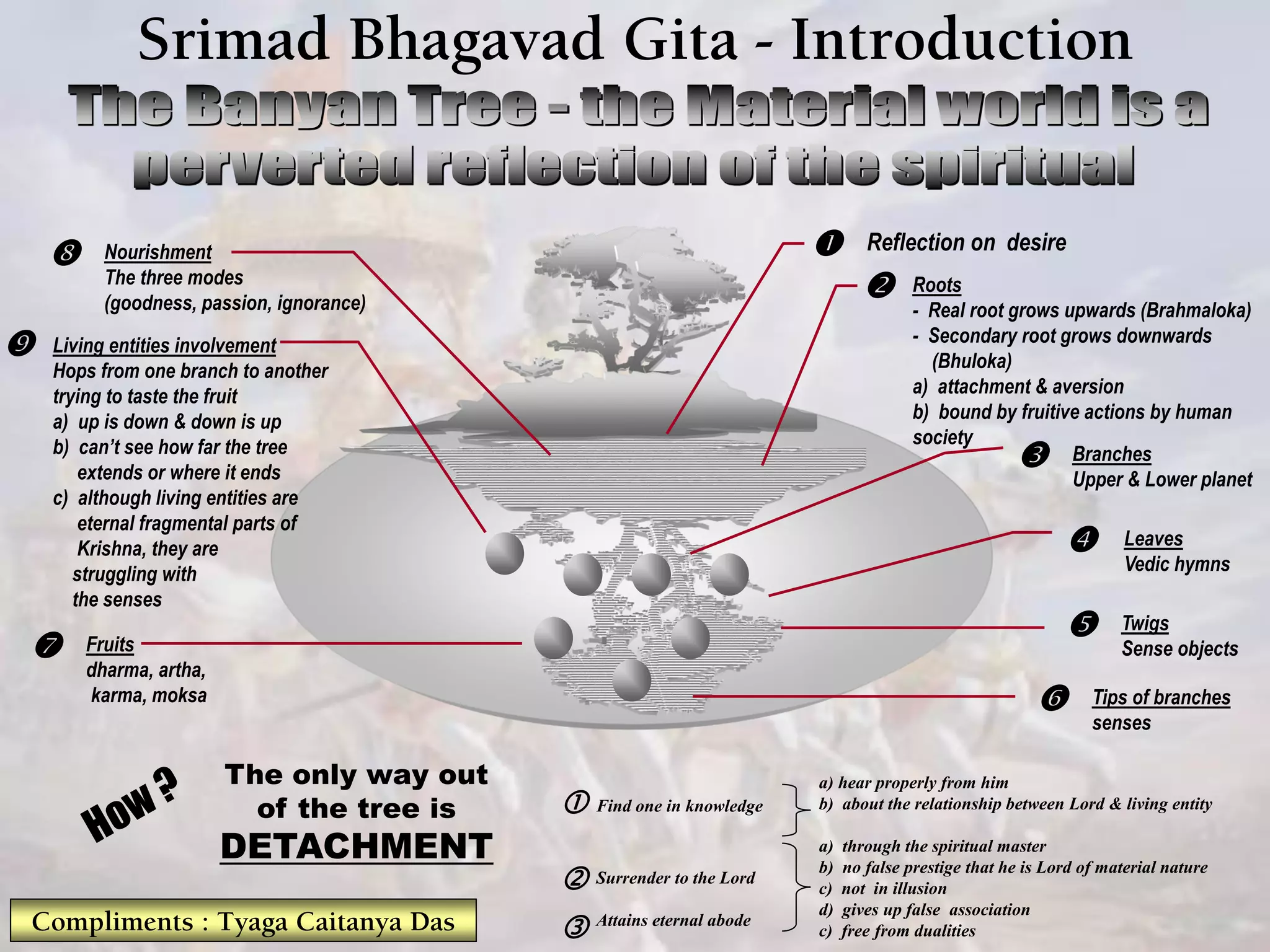  Nourishment
The three modes
(goodness, passion, ignorance)
The only way out
of the tree is
DETACHMENT
Find one in knowledge
Surrender to the Lord
Attains eternal abode
a) hear properly from him
b) about the relationship between Lord & living entity
a) through the spiritual master
b) no false prestige that he is Lord of material nature
c) not in illusion
d) gives up false association
c) free from dualities



Reflection on desire
Roots
- Real root grows upwards (Brahmaloka)
- Secondary root grows downwards
(Bhuloka)
a) attachment & aversion
b) bound by fruitive actions by human
society

Branches
Upper & Lower planet

Leaves
Vedic hymns

Twigs
Sense objects

Tips of branches
senses

Fruits
dharma, artha,
karma, moksa

Living entities involvement
Hops from one branch to another
trying to taste the fruit
a) up is down & down is up
b) can’t see how far the tree
extends or where it ends
c) although living entities are
eternal fragmental parts of
Krishna, they are
struggling with
the senses

Srimad Bhagavad Gita - Introduction
Compliments : Tyaga Caitanya Das
 