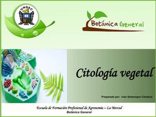 Escuela de Formación Profesional de Agronomía – La Merced
Botánica General
Preparado por: Iván Sotomayor Córdova
Citología vegetal
 