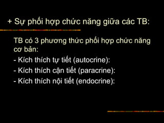 + Sự phối hợp chức năng giữa các TB:
TB có 3 phương thức phối hợp chức năng
cơ bản:
- Kích thích tự tiết (autocrine):
- Kích thích cận tiết (paracrine):
- Kích thích nội tiết (endocrine):
 