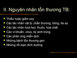 II. Nguyên nhân tổn thương TB:
 Thiếu hoặc giảm oxy
 Các tác nhân vật lý: chấn thương, bỏng, tia xạ
 Các tác nhân hoá học: thuốc, hoá chất
 Các vi khuẩn, virus, ký sinh trùng
 Các phản ứng miễn dịch
 Những bệnh tổn thương gen
 Những rối loạn dinh dưỡng
 