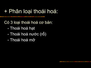 + Phân loại thoái hoá:
Có 3 loại thoái hoá cơ bản:
- Thoái hoá hạt
- Thoái hoá nước (rỗ)
- Thoái hoá mỡ
 