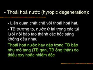 - Thoái hoá nước (hyropic degeneration):
- Liên quan chặt chẽ với thoái hoá hạt.
- TB trương to, nước ứ lại trong các túi
lưới nội bào tạo thành các hốc sáng
không đều nhau.
Thoái hoá nước hay gặp trong TB bào
nhu mô tạng (TB gan, TB ống thận) do
thiếu oxy hoặc nhiễm độc
 