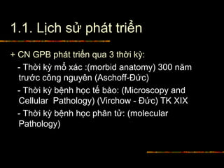 1.1. Lịch sử phát triển
+ CN GPB phát triển qua 3 thời kỳ:
- Thời kỳ mổ xác :(morbid anatomy) 300 năm
trước công nguyên (Aschoff-Đức)
- Thời kỳ bệnh học tế bào: (Microscopy and
Cellular Pathology) (Virchow - Đức) TK XIX
- Thời kỳ bệnh học phân tử: (molecular
Pathology)
 