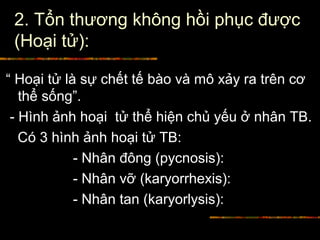 2. Tổn thương không hồi phục được
(Hoại tử):
“ Hoại tử là sự chết tế bào và mô xảy ra trên cơ
thể sống”.
- Hình ảnh hoại tử thể hiện chủ yếu ở nhân TB.
Có 3 hình ảnh hoại tử TB:
- Nhân đông (pycnosis):
- Nhân vỡ (karyorrhexis):
- Nhân tan (karyorlysis):
 