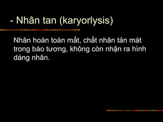 - Nhân tan (karyorlysis)
Nhân hoàn toàn mất, chất nhân tản mát
trong bào tương, không còn nhận ra hình
dáng nhân.
 
