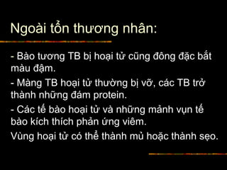 Ngoài tổn thương nhân:
- Bào tương TB bị hoại tử cũng đông đặc bắt
màu đậm.
- Màng TB hoại tử thường bị vỡ, các TB trở
thành những đám protein.
- Các tế bào hoại tử và những mảnh vụn tế
bào kích thích phản ứng viêm.
Vùng hoại tử có thể thành mủ hoặc thành sẹo.
 