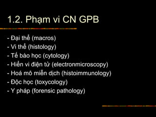 1.2. Phạm vi CN GPB
- Đại thể (macros)
- Vi thể (histology)
- Tế bào học (cytology)
- Hiển vi điện tử (electronmicroscopy)
- Hoá mô miễn dịch (histoimmunology)
- Độc học (toxycology)
- Y pháp (forensic pathology)
 