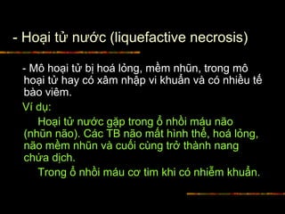 - Hoại tử nước (liquefactive necrosis)
- Mô hoại tử bị hoá lỏng, mềm nhũn, trong mô
hoại tử hay có xâm nhập vi khuẩn và có nhiều tế
bào viêm.
Ví dụ:
Hoại tử nước gặp trong ổ nhồi máu não
(nhũn não). Các TB não mất hình thể, hoá lỏng,
não mềm nhũn và cuối cùng trở thành nang
chứa dịch.
Trong ổ nhồi máu cơ tim khi có nhiễm khuẩn.
 