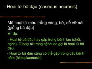 - Hoại tử bã đậu (caseous necrosis)
Mô hoại tử màu trắng vàng, bở, dễ vỡ nát
(giống bã đậu)
Ví dụ:
- Hoai tử bã đậu hay gặp trong bệnh lao (phổi,
hạch). Ổ hoại tử trong bệnh lao gọi là hoại tử bã
đậu.
- Hoại tử bã đậu cũng có thể gặp trong các bệnh
nấm (histoplasmosis)
 