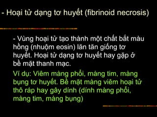 - Hoại tử dạng tơ huyết (fibrinoid necrosis)
- Vùng hoại tử tạo thành một chất bắt màu
hồng (nhuộm eosin) lăn tăn giống tơ
huyết. Hoại tử dạng tơ huyết hay gặp ở
bề mặt thanh mạc.
Ví dụ: Viêm màng phổi, màng tim, màng
bụng tơ huyết. Bề mặt màng viêm hoại tử
thô ráp hay gây dính (dính màng phổi,
màng tim, màng bụng)
 