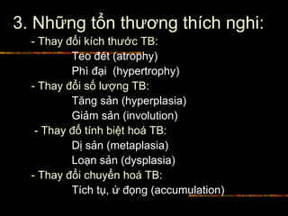 3. Những tổn thương thích nghi:
- Thay đổi kích thước TB:
Teo đét (atrophy)
Phì đại (hypertrophy)
- Thay đổi số lượng TB:
Tăng sản (hyperplasia)
Giảm sản (involution)
- Thay đổ tính biệt hoá TB:
Dị sản (metaplasia)
Loạn sản (dysplasia)
- Thay đổi chuyển hoá TB:
Tích tụ, ứ đọng (accumulation)
 