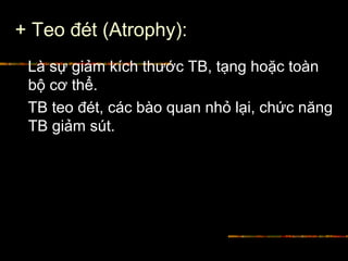 + Teo đét (Atrophy):
Là sự giảm kích thước TB, tạng hoặc toàn
bộ cơ thể.
TB teo đét, các bào quan nhỏ lại, chức năng
TB giảm sút.
 