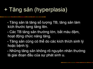 + Tăng sản (hyperplasia)
- Tăng sản là tăng số lượng TB, tăng sản làm
kích thước tạng tăng lên.
- Các TB tăng sản thường lớn, bắt màu đậm,
hoạt động chức năng tăng.
- Tăng sản cũng có thể do các kích thích sinh lý
hoặc bệnh lý.
- Những tăng sản không rõ nguyên nhân thường
là giai đoạn đầu của sự phát sinh u.
 