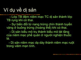 Ví dụ về dị sản
- Lớp TB đệm niêm mạc TC dị sản thành lớp
TB rụng khi có thai.
- Sự biến đổi từ nang trứng chín thành tuyến
vàng ở buồng trứng (hoàng thể) khi có thai.
- Dị sản biểu mô trụ thành biểu mô lát tầng
của niêm mạc phế quản ở người nghiện thuốc
lá.
- Dị sản niêm mạc dạ dày thành niêm mạc ruột
trong viêm mạn tính.
 