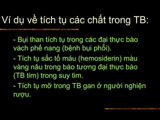 Ví dụ về tích tụ các chất trong TB:
- Bụi than tích tụ trong các đại thực bào
vách phế nang (bệnh bụi phổi).
- Tích tụ sắc tố máu (hemosiderin) màu
vàng nâu trong bào tương đại thực bào
(TB tim) trong suy tim.
- Tích tụ mỡ trong TB gan ở người nghiện
rượu.
 