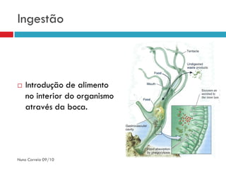 Ingestão



   Introdução de alimento
    no interior do organismo
    através da boca.




Nuno Correia 09/10
 