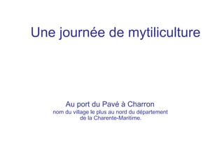 Une journée de mytiliculture




       Au port du Pavé à Charron
   nom du village le plus au nord du département
              de la Charente-Maritime.
 
