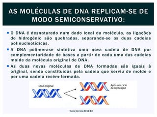 AS MOLÉCULAS DE DNA REPLICAM-SE DE
     MODO SEMICONSERVATIVO:
 O DNA é desnaturado num dado local da molécula, as ligações
  de hidrogénio são quebradas, separando-se as duas cadeias
  polinucleotídicas.
 A DNA polimerase sintetiza uma nova cadeia de DNA por
  complementaridade de bases a partir de cada uma das cadeias
  molde da molécula original de DNA .
 As duas novas moléculas de DNA formadas são iguais à
  original, sendo constituídas pela cadeia que serviu de molde e
  por uma cadeia recém-formada.




                           Nuno Correia 2012-13
 