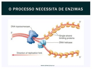O PROCESSO NECESSITA DE ENZIMAS




             Nuno Correia 2012-13
 