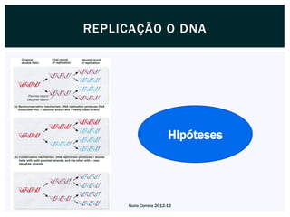 REPLICAÇÃO O DNA




                       Hipóteses




     Nuno Correia 2012-13
 