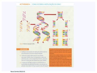 Nuno Correia 2012-13
 