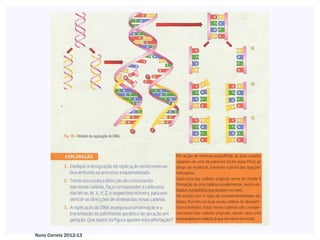 Nuno Correia 2012-13
 