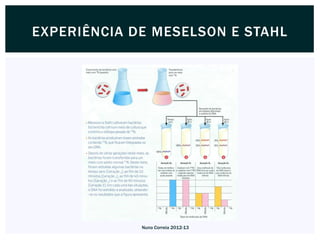EXPERIÊNCIA DE MESELSON E STAHL




             Nuno Correia 2012-13
 
