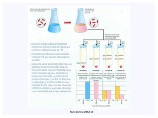 Nuno Correia 2012-13
 