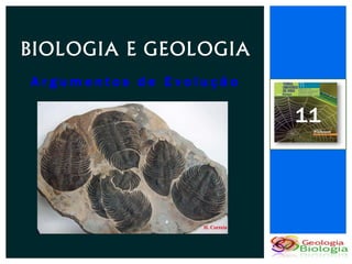 BIOLOGIA E GEOLOGIA
Argumentos de Evolução

                         11
 