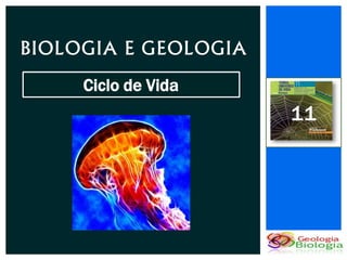 BIOLOGIA E GEOLOGIA
     Ciclo de Vida
                      11
 