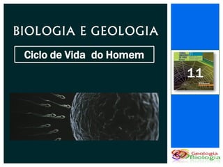 BIOLOGIA E GEOLOGIA
 Ciclo de Vida do Homem
                          11
 