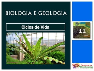 BIOLOGIA E GEOLOGIA

    Ciclos de Vida
                      11
 