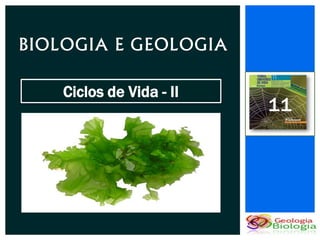 BIOLOGIA E GEOLOGIA

    Ciclos de Vida - II
                          11
 