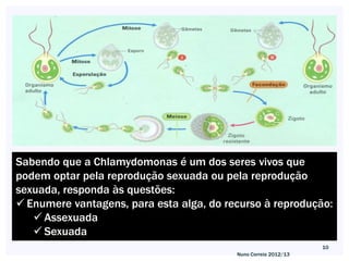 Sabendo que a Chlamydomonas é um dos seres vivos que
podem optar pela reprodução sexuada ou pela reprodução
sexuada, responda às questões:
 Enumere vantagens, para esta alga, do recurso à reprodução:
    Assexuada
    Sexuada
                                                                 10
                                          Nuno Correia 2012/13
 