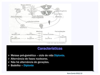 Características
   Meiose pré-gamética – ciclo de vida Diplonte.
   Alternância de fases nucleares.
   Não há alternância de gerações.
   Bodelha – Diplonte
                                                                           14
                                                    Nuno Correia 2012/13
 