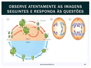 OBSERVE ATENTAMENTE AS IMAGENS
SEGUINTES E RESPONDA ÀS QUESTÕES




             Nuno Correia 2012/13   18
 