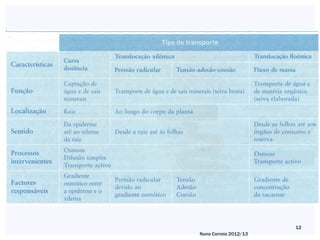 12
Nuno Correia 2012/13
 