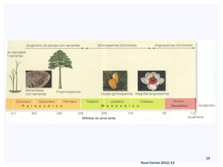 19
Nuno Correia 2012/13
 