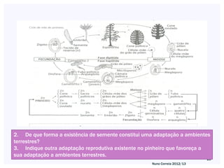 2. De que forma a existência de semente constitui uma adaptação a ambientes
terrestres?
3. Indique outra adaptação reprodutiva existente no pinheiro que favoreça a
sua adaptação a ambientes terrestres.
                                                                           28
                                                    Nuno Correia 2012/13
 
