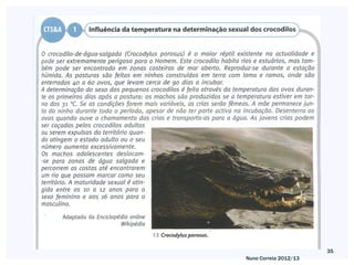 35
Nuno Correia 2012/13
 